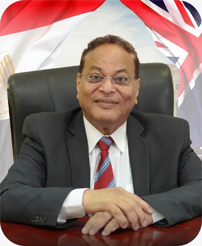 Prof. Ali El Bastawissy
