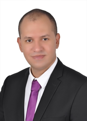 Assistant professor Mohamed Salah El-Din Hodhod
